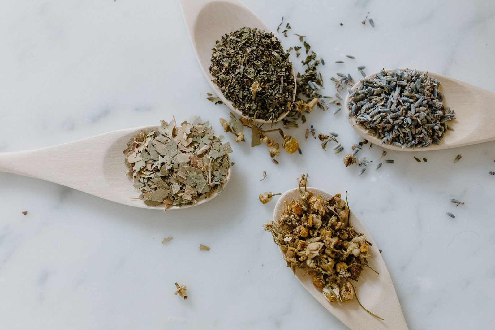 Dried herbal tea botanicals arranged on spoons