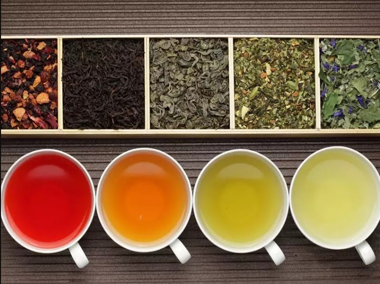 Cups of brewed herbal tea in different colors alongside dried tea botanicals