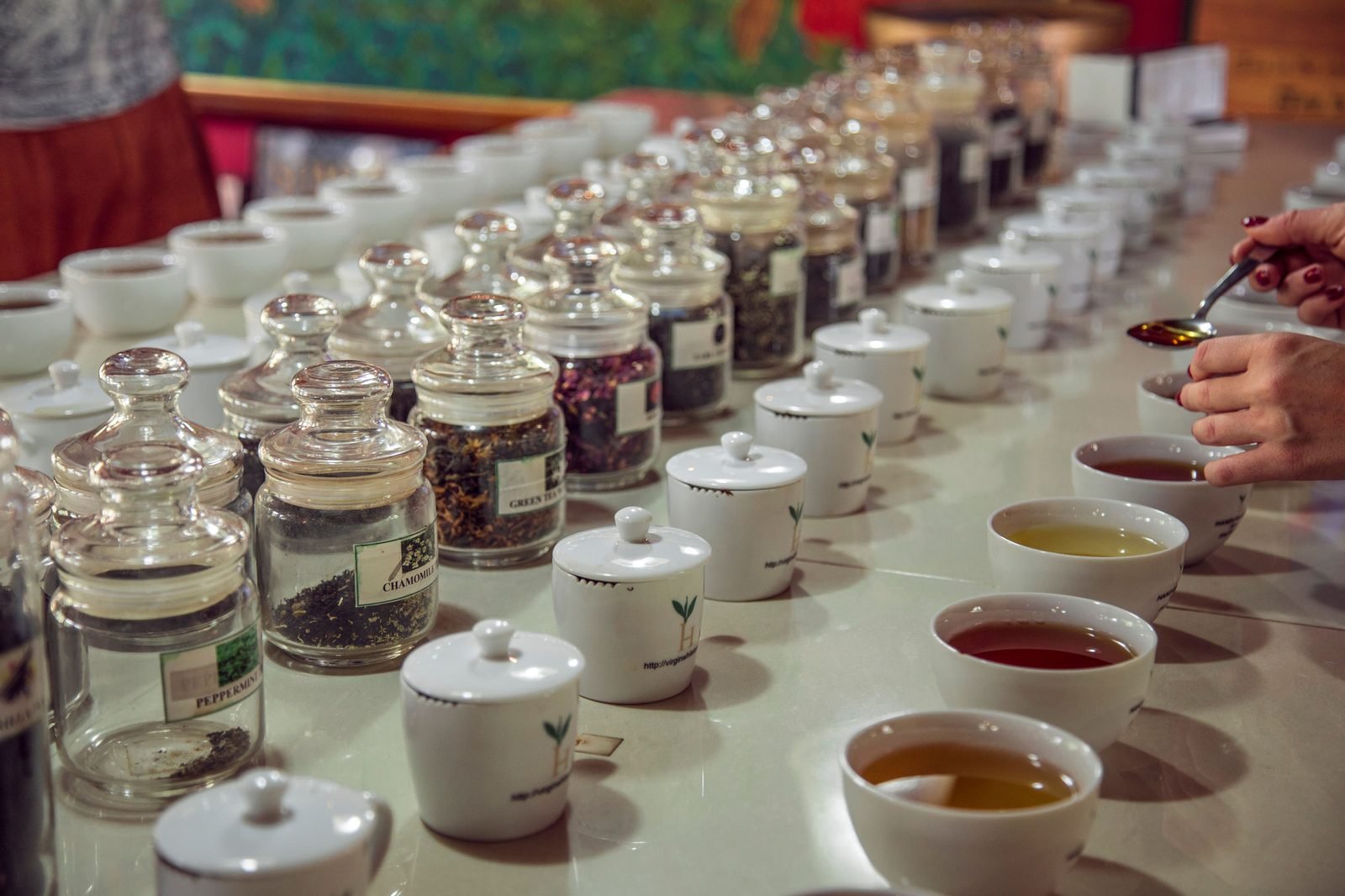 Cupping and tasting session comparing dried tea botanicals
